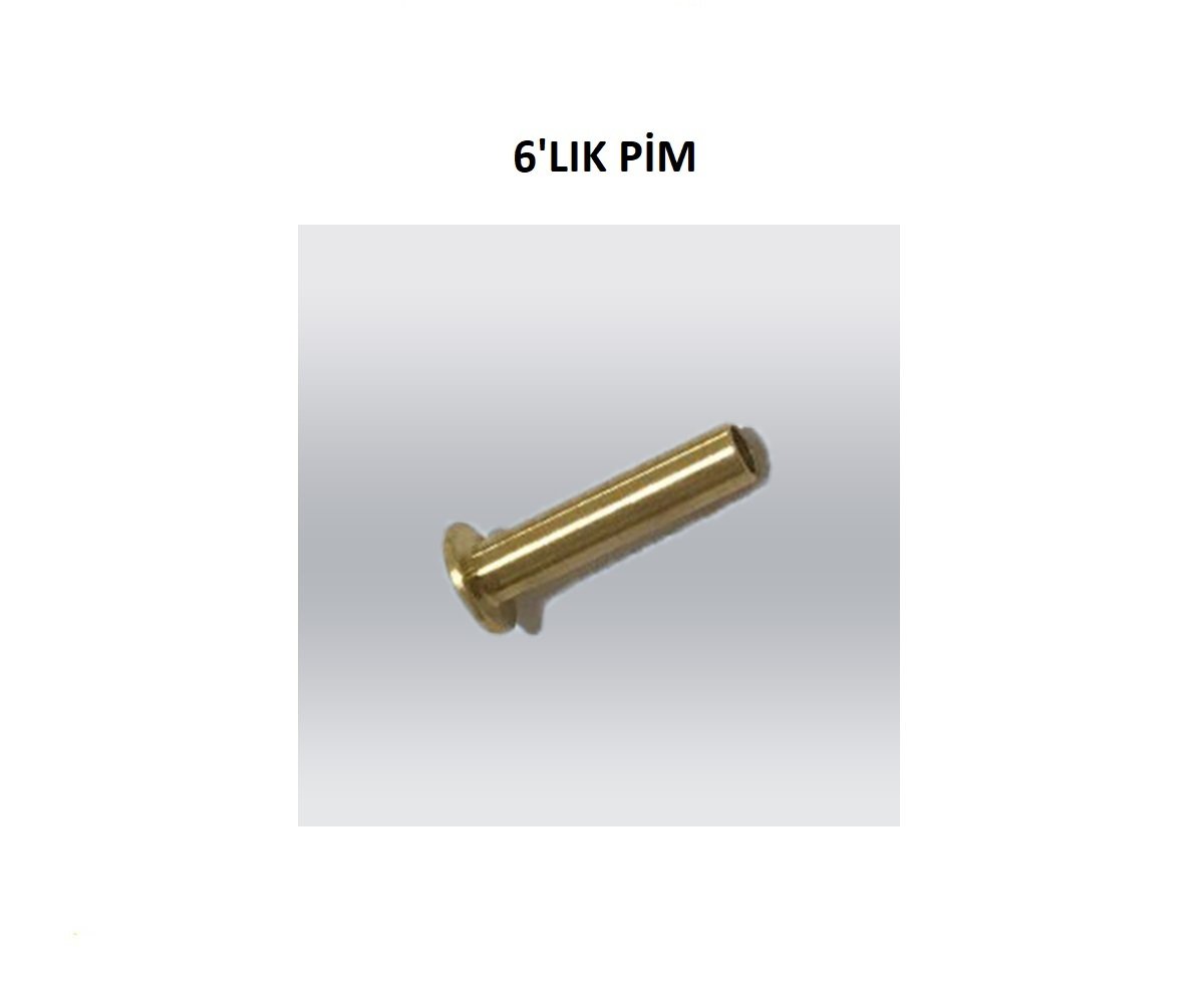 6 LIK PİM